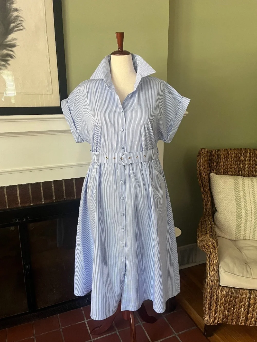 Blue & White Stripe Cotton Shirtdress | Belted | 100% Cotton - Picture 1 of 10